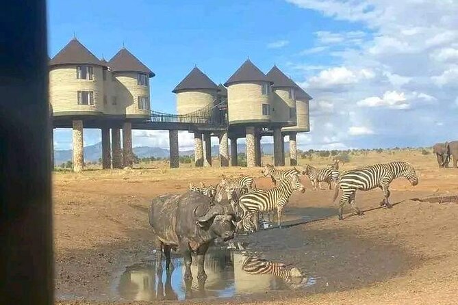 3 Days Safari Tsavo East and Taita Hills Saltlick Lodge - Lodge Accommodations