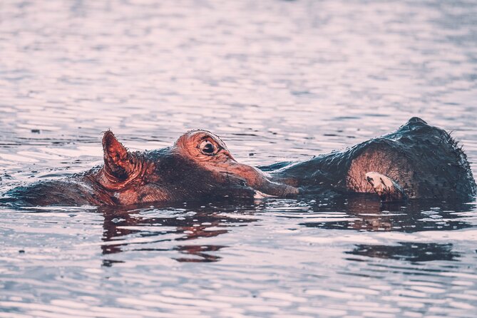 3 Days Shared Safari Tour Tanzania - Itinerary Overview