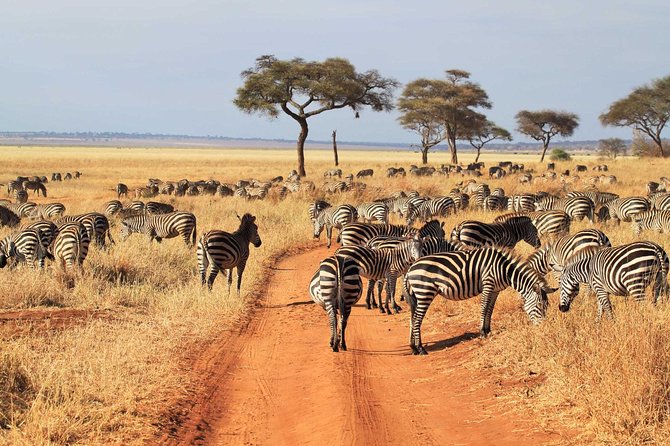 3 Days Tanzania Budget Safari - Budget Safari Inclusions