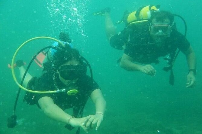 3 Hour Snorkeling and Dolphin Watching Experience in Muscat