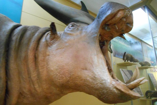 3 Hours Nairobi National Museum - Additional Information
