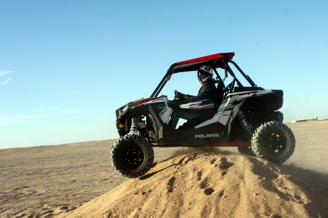 3 Hours Safari by Buggy Car & Camel Ride With Transfer - Marsa Alam - Logistics