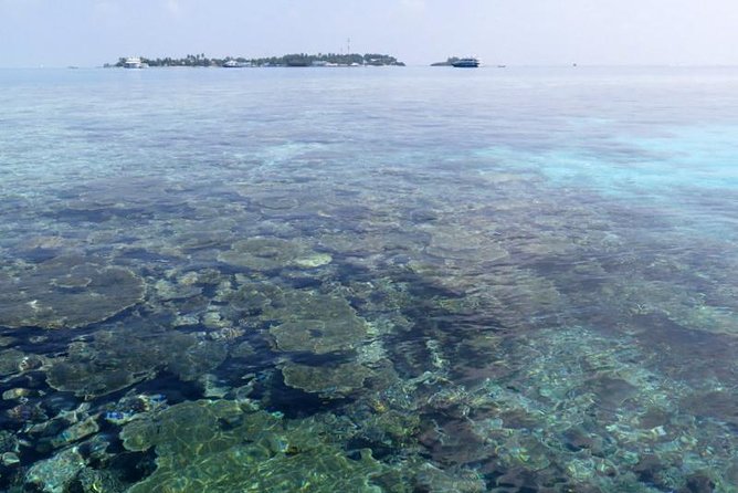 3 Point Snorkeling Safari - Tour Experience on 3 Point Snorkeling Safari