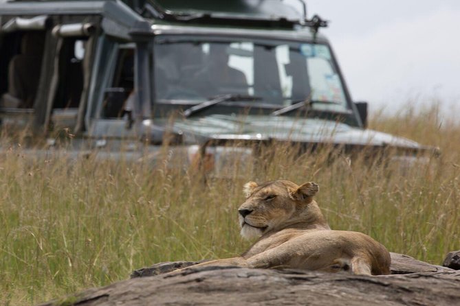 4-Day Lake Nakuru & Maasai Mara Safari - Itinerary Overview