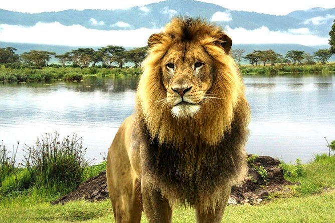 4 Day Masai Mara & Lake Nakuru Group Joining Camping Safari - Daily Departures - Additional Information