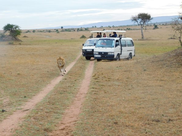 4 Day Private Masai Mara National Reserve & Lake Nakuru National Park Safari - Pickup and Logistics Information