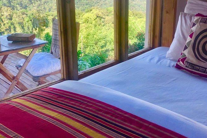 4-Day Private Tour in Bwindi Forest National Park - Inclusions and Exclusions