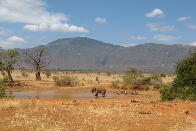 4 Days Animal Kingdom - MOMBASA - Inclusions and Exclusions