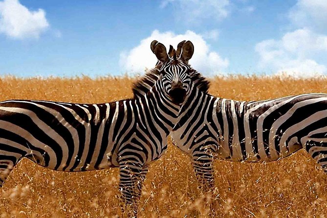 4 Days Camping Safari – Tarangire, Ngorongoro, Manyara, Olduvai Gorge - Inclusions and Exclusions