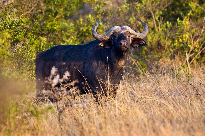 4 Days Hemingway Safari - Safari Itinerary