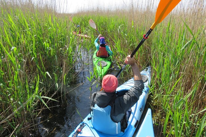 4 Days in the Heart of Danube Delta - Transportation and Pickup Information