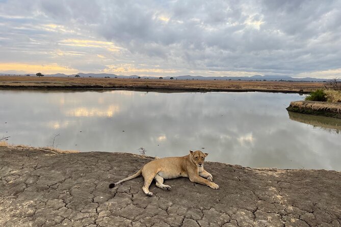 4 Days Ngorongoro Crater, Tarangire and Serengeti National Park - Whats Included