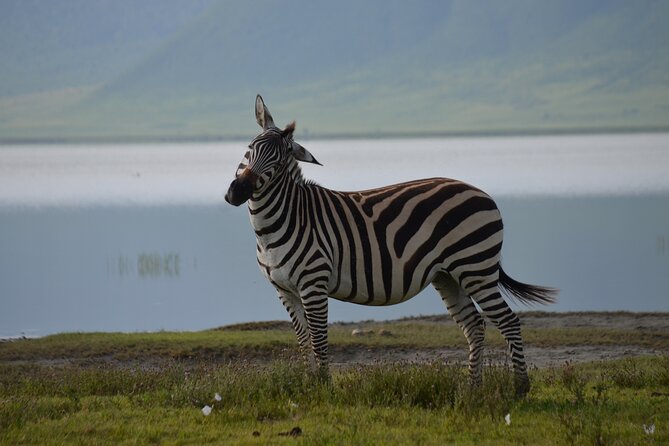 4 Days Tanzania Private Safari to Serengeti ,Ngorongoro Crater and Tarangire - Safari Itinerary Overview
