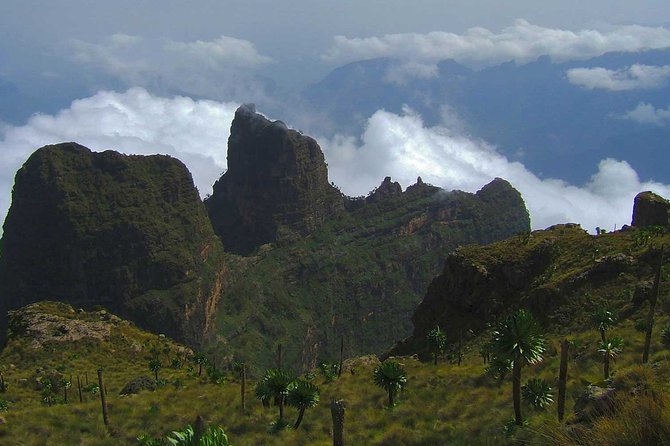 4 Days Trekking to Simien Mountain National Park - Cultural Immersion Opportunities