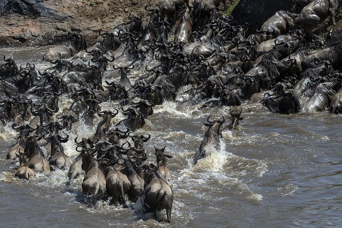 4 Days Wildebeest Lake Nakuru Masai Mara Safari - Wildlife Viewing Opportunities