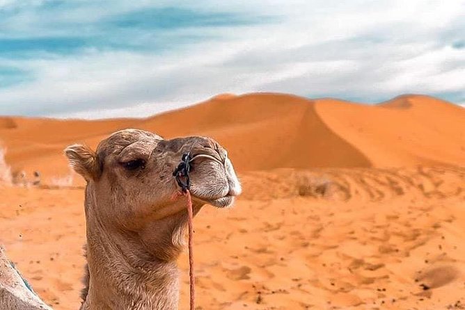 4d/3n Private Desert Tour From Fez to Marrakech