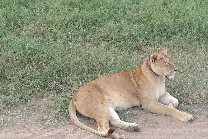 4days Safari - Inclusions and Exclusions