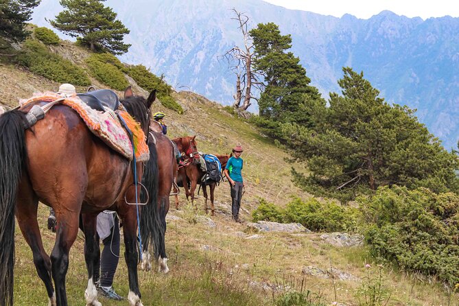 5-Day Horse Riding Tour in Caucasus - Tour Overview