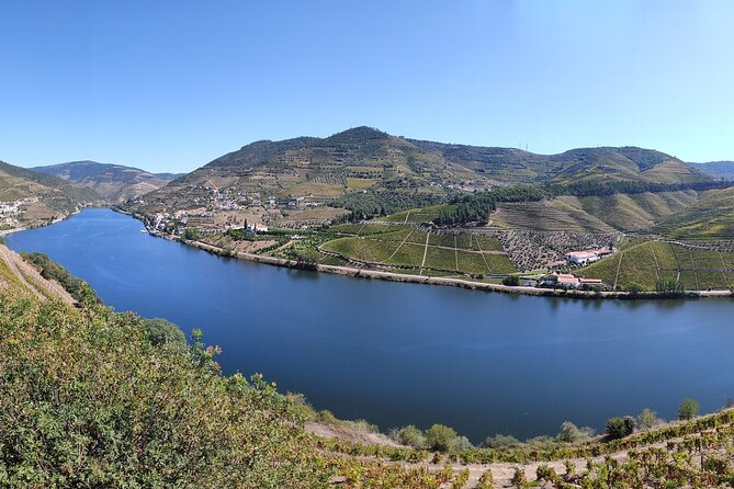 5-Day Private Itinerary in Portugal - Day 3: Discovering Porto