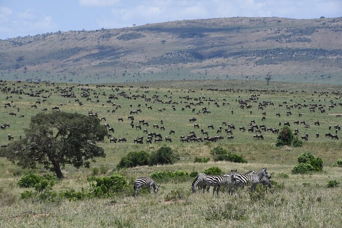 5 Day Tour of Lake Naivasha Lake Nakuru and Masai Mara Reserve - Accommodation Details