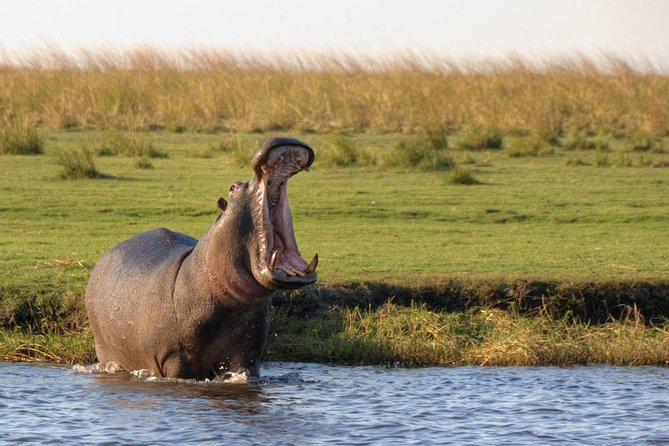 5 Day Victoria Falls and Chobe National Park Luxury Accommodated Tour - Tour Highlights