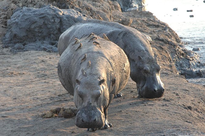 5 Day Victoria Falls and Hwange National Park Accommodated Safari Tour - Accommodation Details
