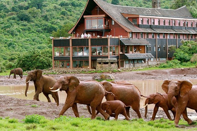 5 Days Aberdares Lake Nakuru & Masai Mara Wildlife Safari