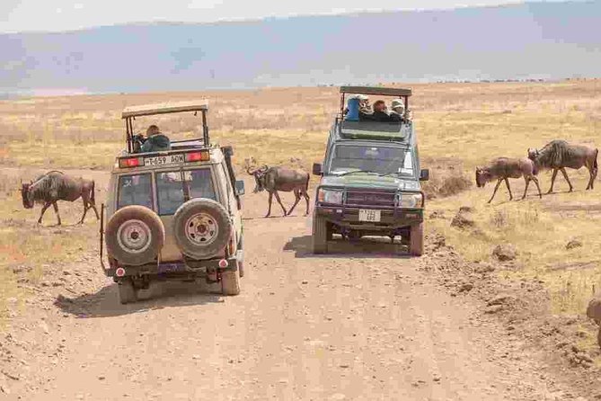 5 Days - Best Of Tanzania Northern Zone, Lodge Safari - Lodge Accommodations