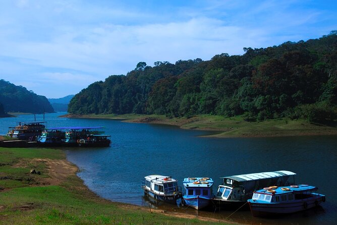 5 Days Luxury Kerala Tour With Houseboat Experience - Tour Highlights