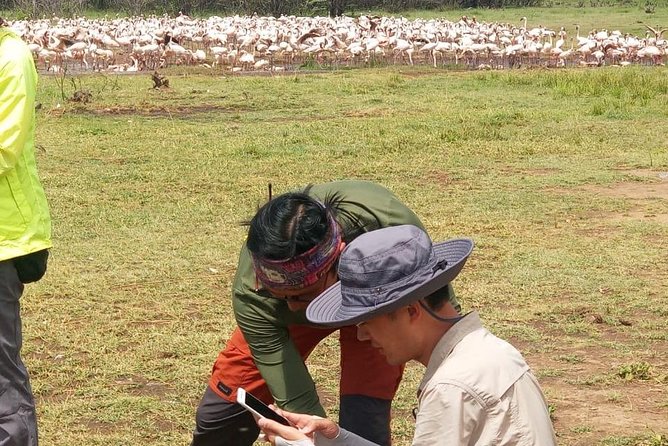 5 Days Migration Maasai Mara - Lake Nakuru - Lake Naivasha Safari - Cancellation Policy Details