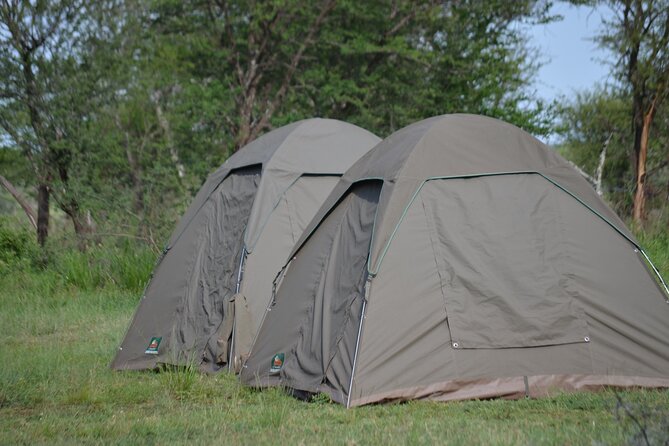 5-Days Private Budget Safari: Tarangire, Serengeti & Ngorongoro - Logistics