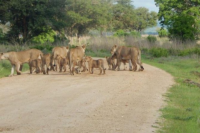 5 Days Safari Selous GR and Mikumi NP - Mikumi National Park