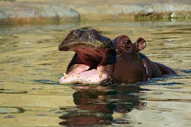 5 Days Tanzania Budget Camping Safari - Itinerary Overview