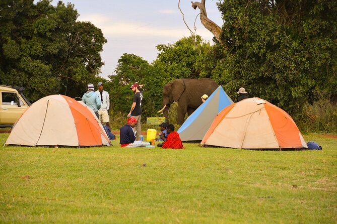 5 Days Tanzania Family Safari - Family-Friendly Accommodations