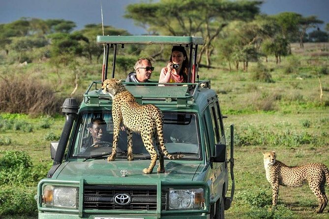 5 Days Tanzania Safari With Serengeti - Safari Itinerary Highlights