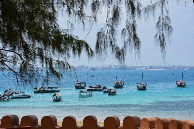 5 Hours Historical Tour in Stone Town - Inclusions and Optional Tip