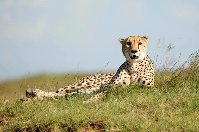 6-Day Big Five Magic Safari Tour - Itinerary Details