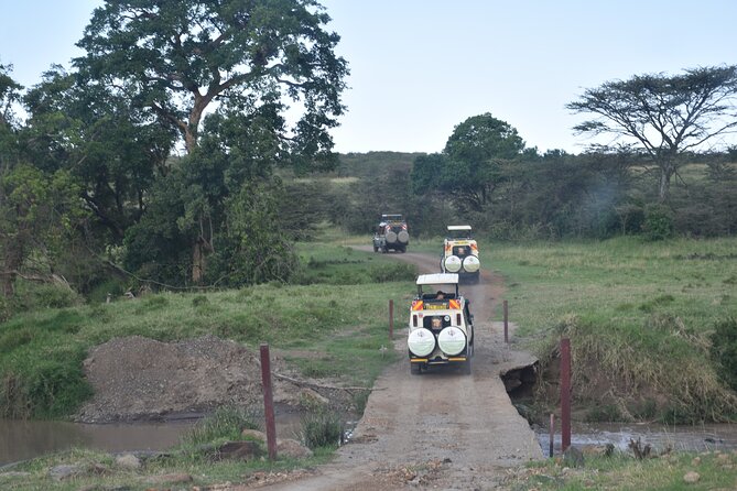 6-Day Experience the Wild Masai Mara Reserve