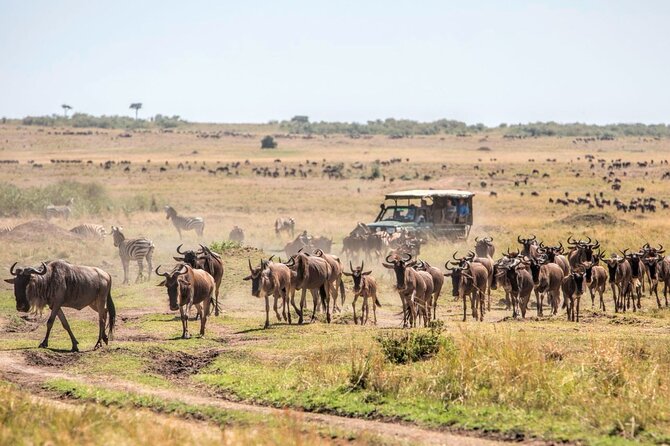 6-Day Kenya Safari to Masai Mara, Lake Nakuru and Amboseli - Accommodation Details