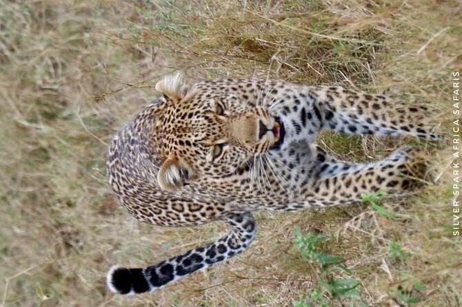 6-Day Maasai Mara Reserve, Lake Naivasha, Amboseli National Park - Tour Overview