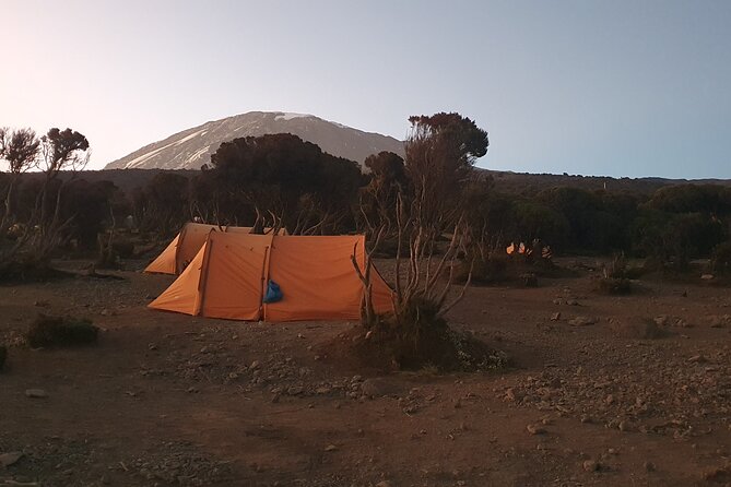 6 Day Marangu Tour - Inclusions and Services