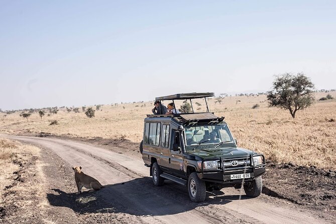 6 Day Ndutu Migration Safari Calving Season