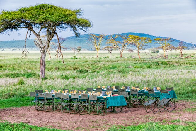 6 Day Private Camping Safari - Meeting and Pickup