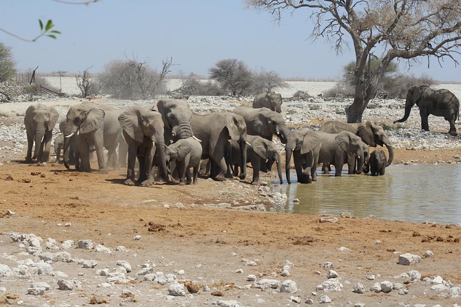 6 Day Private Guided Accommodated Namibian Loop - Activity Highlights