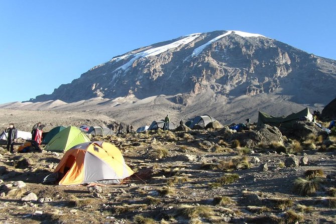 6-Day Private Guided Hiking Tour to Kilimanjaro Umbwe Route - Itinerary Highlights