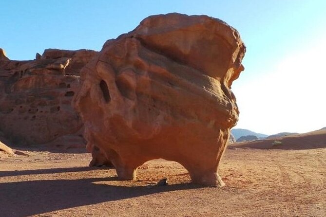 6-Day Private Jordan Tour, Imagination Journey - Booking and Confirmation