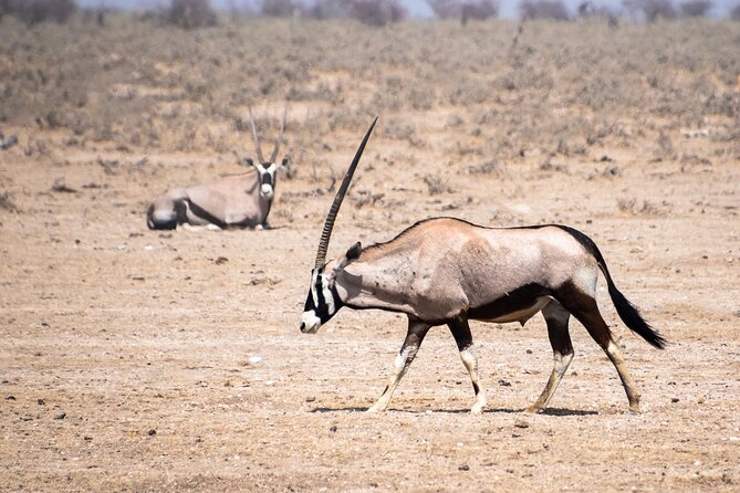 6- Day Wildlife & Landscapes - Itinerary Highlights