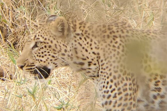 6 Days 5 Night Safari - Meeting and Pickup Information
