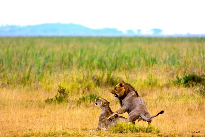 6 Days 5 Nights Amboseli, Tsavo & Diani Beach