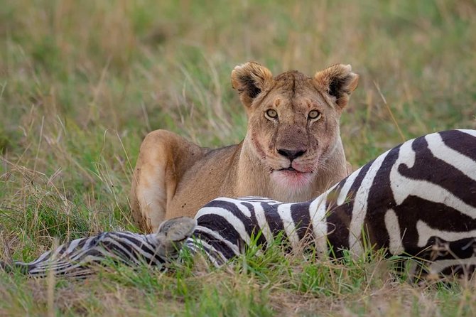 6 Days Budget Mid Range Safari Tour Tanzania - Tour Itinerary